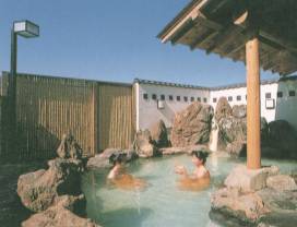 ������p�I�V���C�u�H�߂̓��v