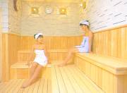 �M�C���T�E�i